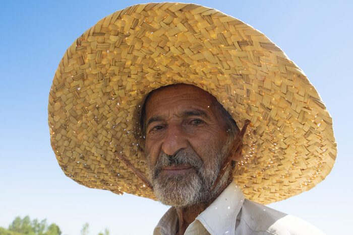 علی کاظمی یارش